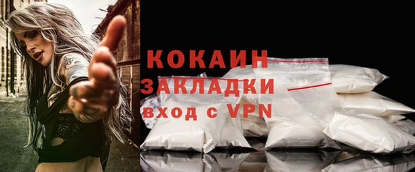 ГАЛЛЮЦИНОГЕННЫЕ ГРИБЫ Вяземский