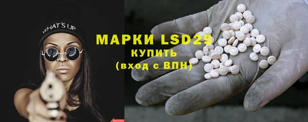ГАЛЛЮЦИНОГЕННЫЕ ГРИБЫ Вяземский