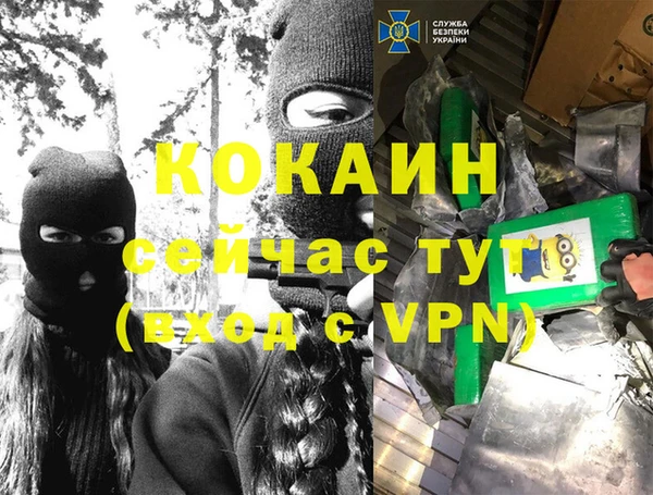 apvp Вязьма