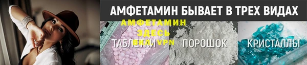 ГАЛЛЮЦИНОГЕННЫЕ ГРИБЫ Вяземский