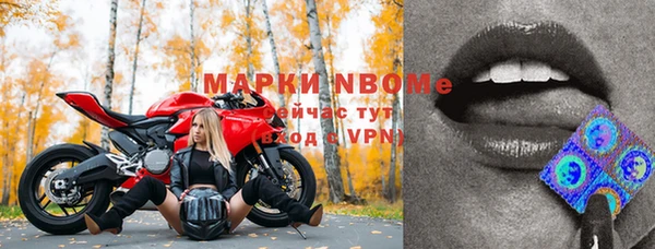 ГАЛЛЮЦИНОГЕННЫЕ ГРИБЫ Вяземский