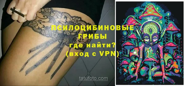 apvp Вязьма