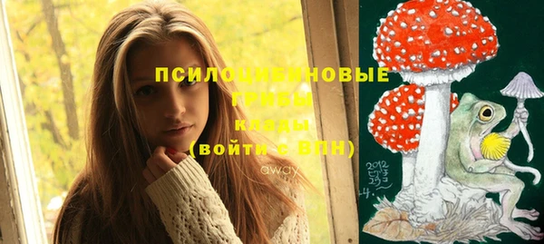 ГАЛЛЮЦИНОГЕННЫЕ ГРИБЫ Вяземский