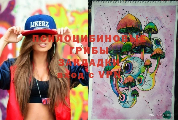 apvp Вязьма