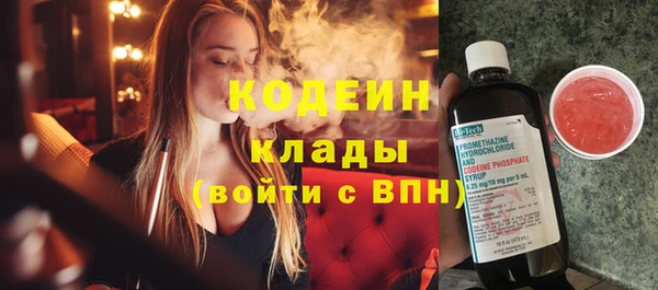 ГАЛЛЮЦИНОГЕННЫЕ ГРИБЫ Вяземский