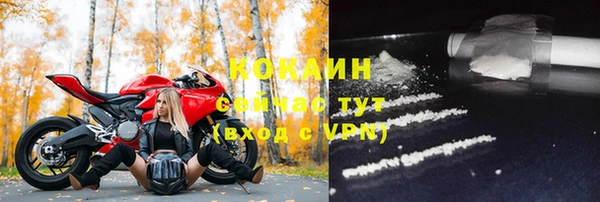 ГАЛЛЮЦИНОГЕННЫЕ ГРИБЫ Вяземский