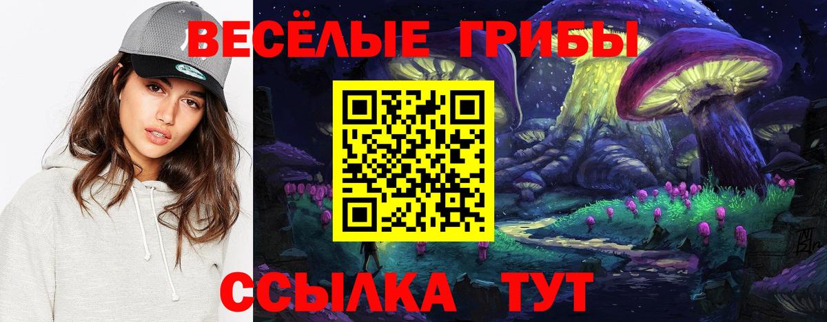 LSD-25 Заводоуковск