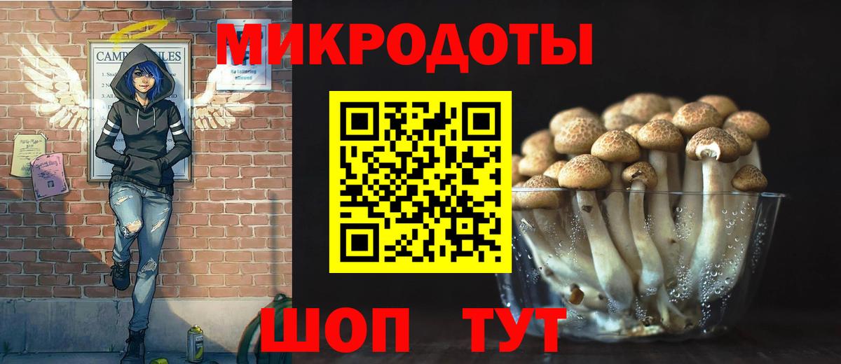 Псилоцибиновые грибы прущие грибы Заводоуковск