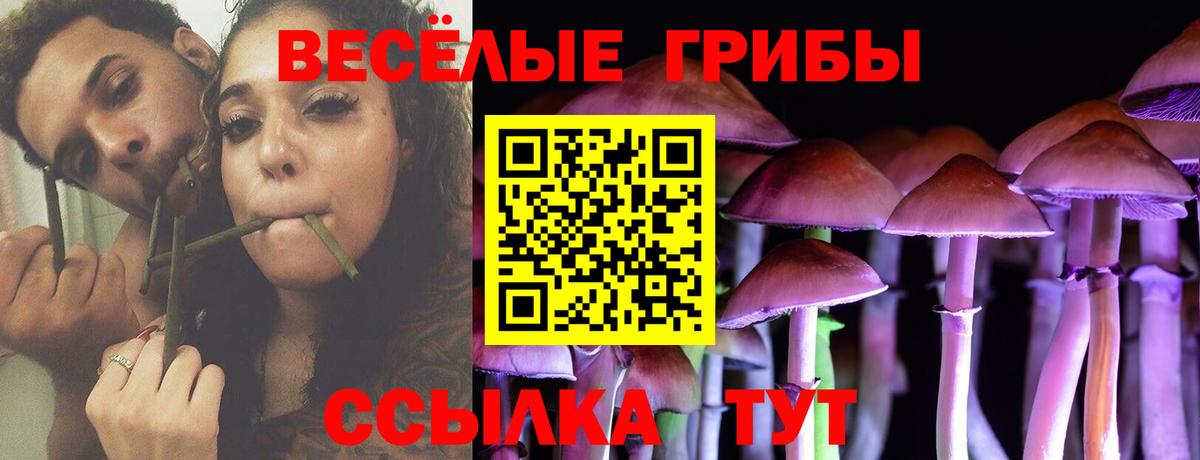 Заводоуковск  Галлюциногенные грибы Cubensis  Вход с VPN 